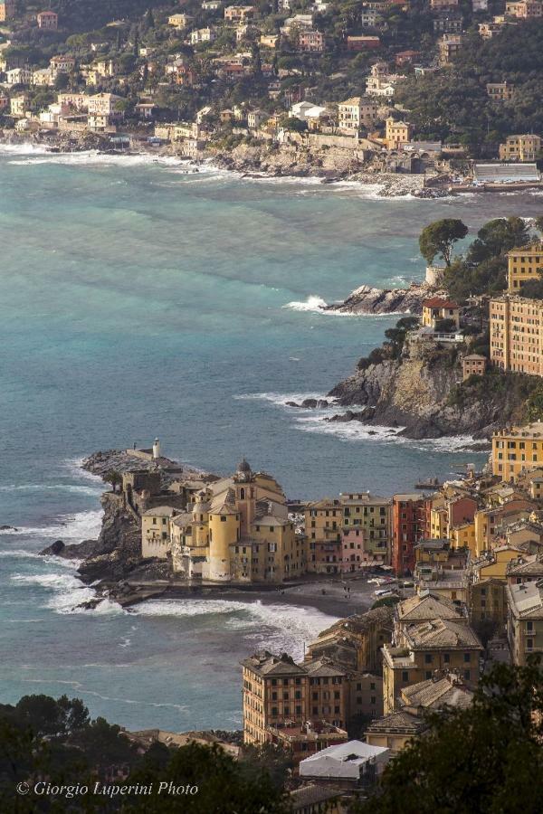La Casa Di Francy Διαμέρισμα Camogli Εξωτερικό φωτογραφία