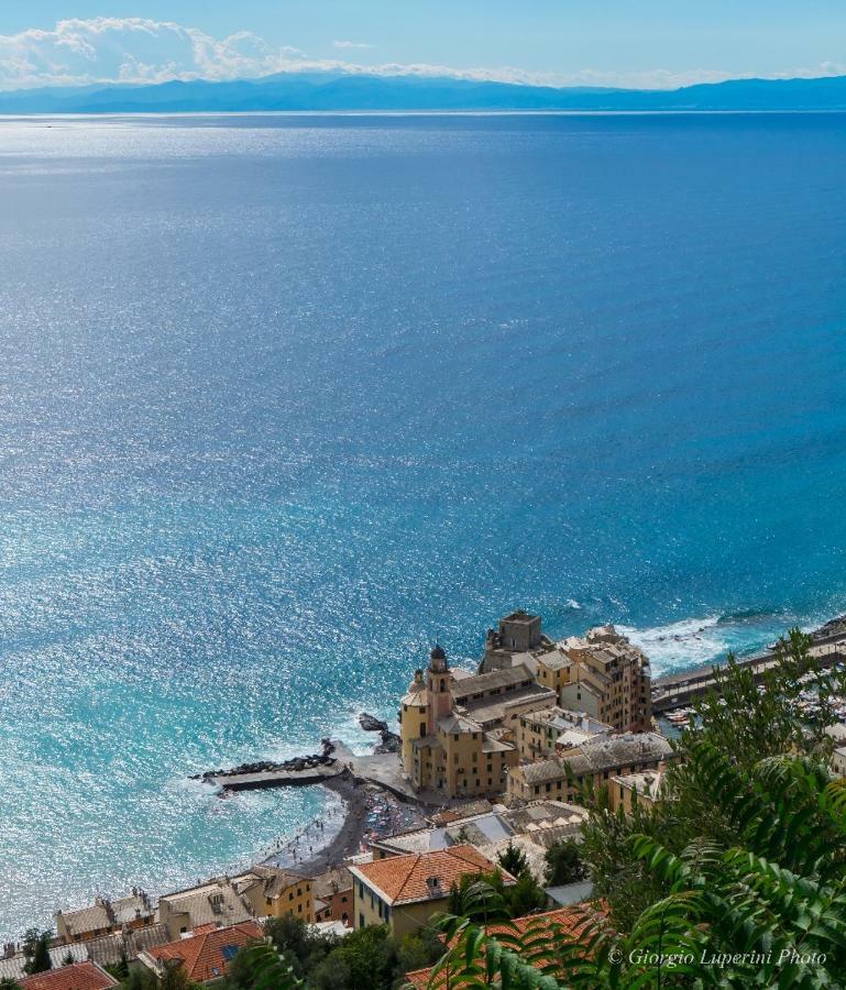 La Casa Di Francy Διαμέρισμα Camogli Εξωτερικό φωτογραφία