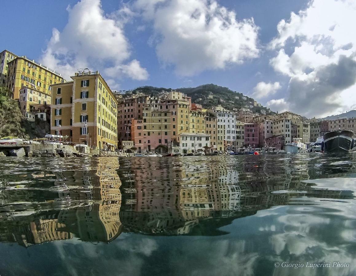 La Casa Di Francy Διαμέρισμα Camogli Εξωτερικό φωτογραφία