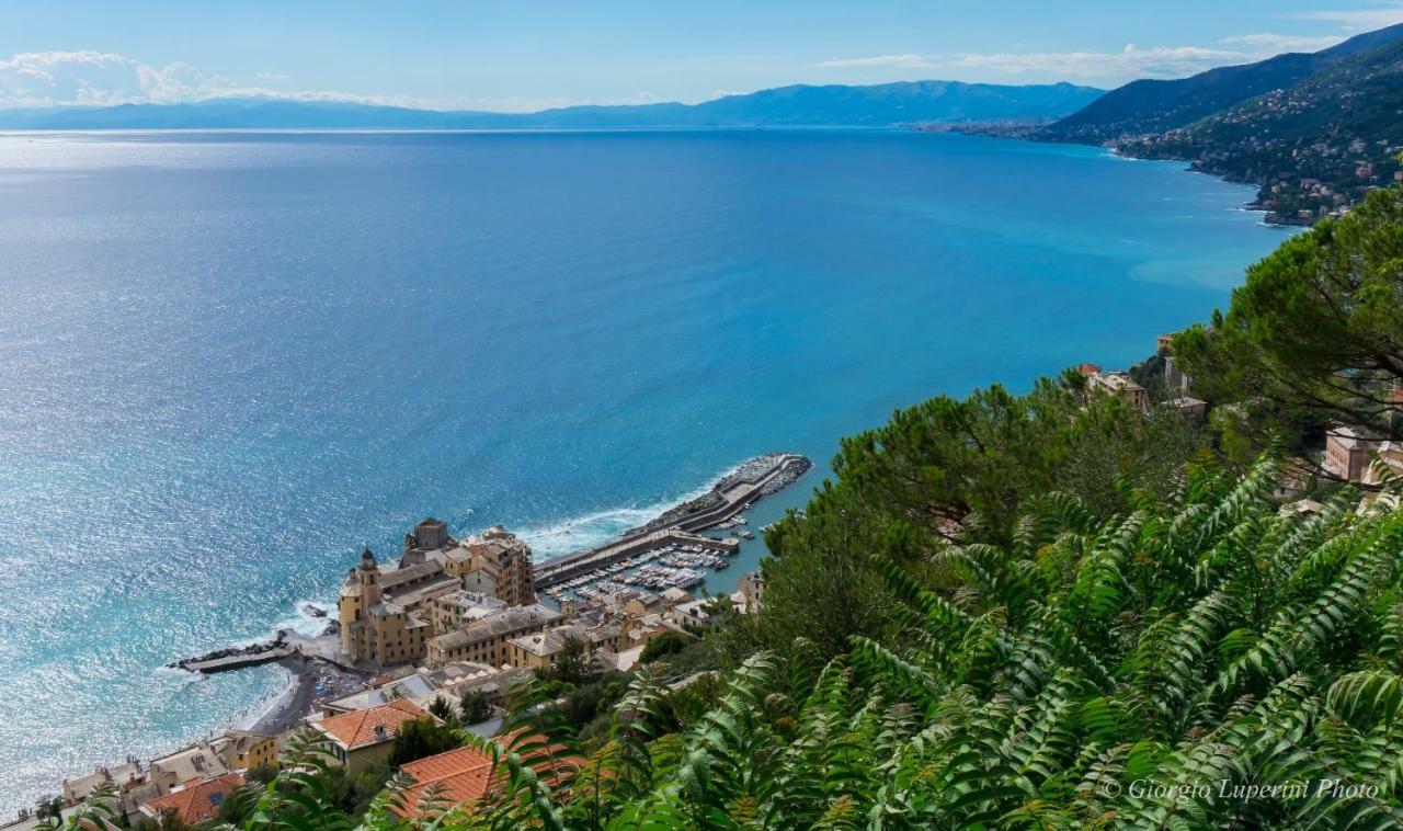La Casa Di Francy Διαμέρισμα Camogli Εξωτερικό φωτογραφία