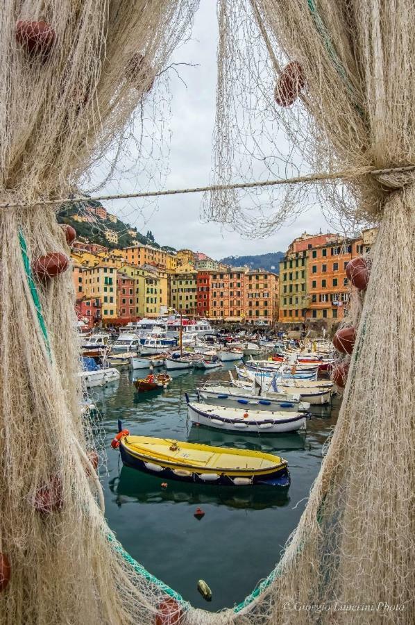 La Casa Di Francy Διαμέρισμα Camogli Εξωτερικό φωτογραφία