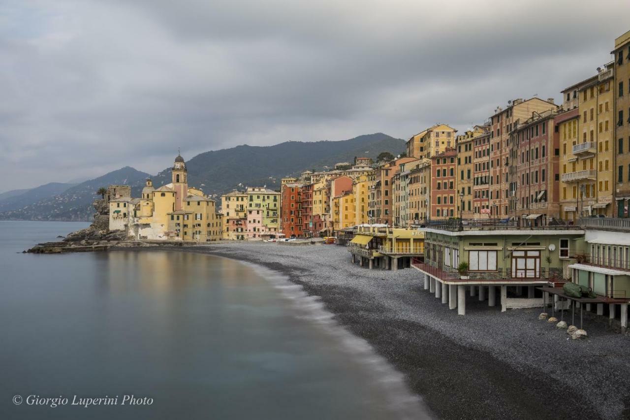La Casa Di Francy Διαμέρισμα Camogli Εξωτερικό φωτογραφία