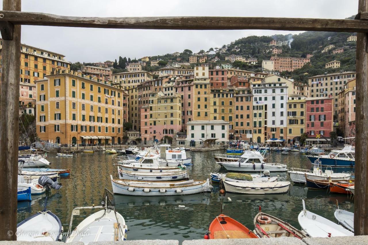 La Casa Di Francy Διαμέρισμα Camogli Εξωτερικό φωτογραφία