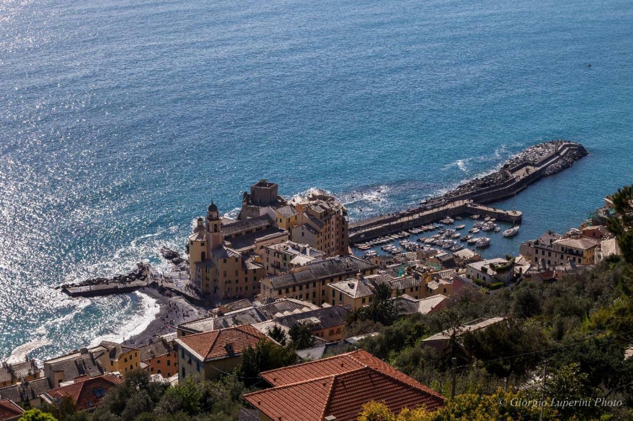 La Casa Di Francy Διαμέρισμα Camogli Εξωτερικό φωτογραφία