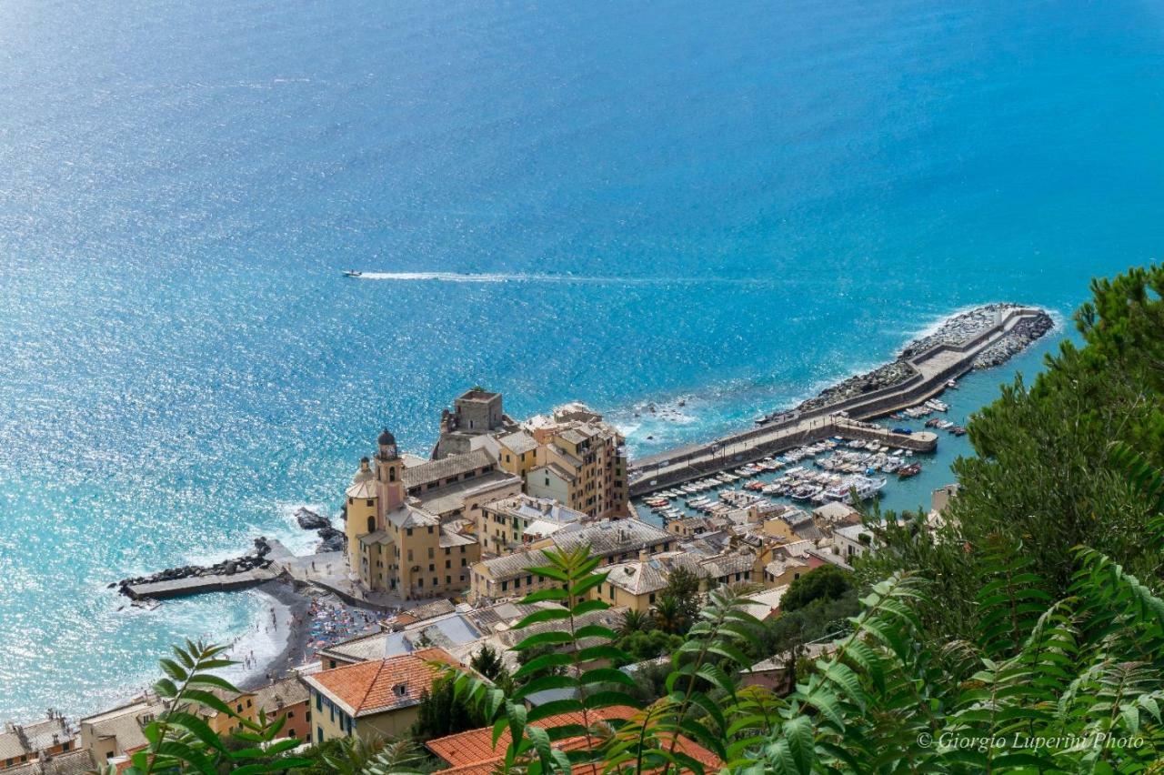 La Casa Di Francy Διαμέρισμα Camogli Εξωτερικό φωτογραφία